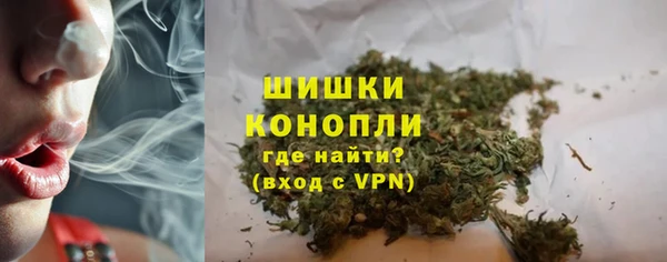 стаф Богданович